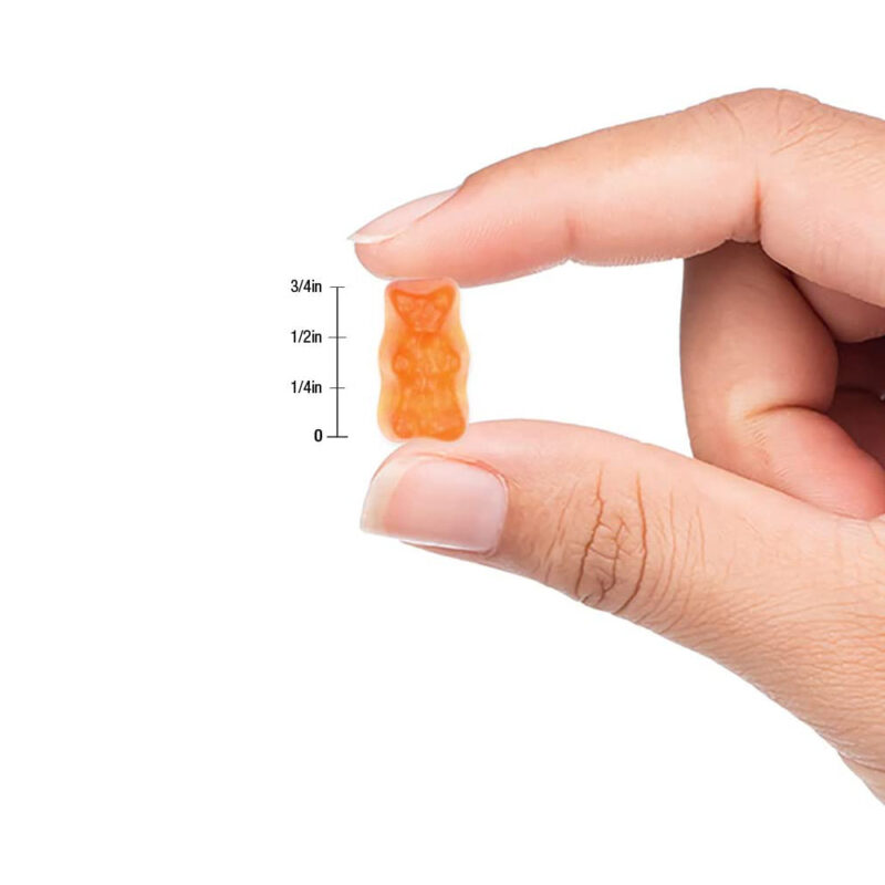 Vitamin C & Zinc Vegan Gummies (Immune Support) - 60 Vegan Gummies - Image 3
